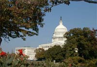 The U.S. House Of Representatives